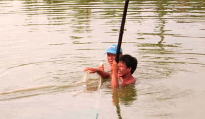 Nghề nuôi cá đã giải quyết việc làm cho nhiều lao động nông thôn.