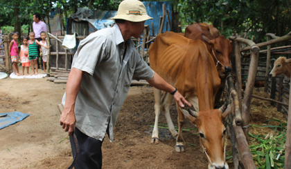 Nhờ nguồn vốn tín dụng chính sách, nhiều hộ dân có điều kiện thoát nghèo.