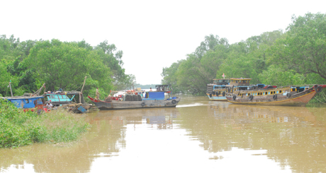 Tàu, thuyền đánh bắt gần bờ ở xã Phú Đông (huyện Tân Phú Đông) vào nơi neo đậu tránh trú bão số 12.