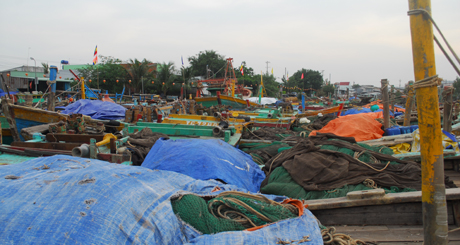 Tàu, thuyền đánh bắt gần bờ vào neo đậu ở cảng cá Vàm Láng (huyện Gò Công Đông) để tránh bão số 12.