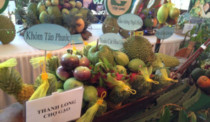 Tiền Giang hội tụ nhiều loại trái cây đặc sản.