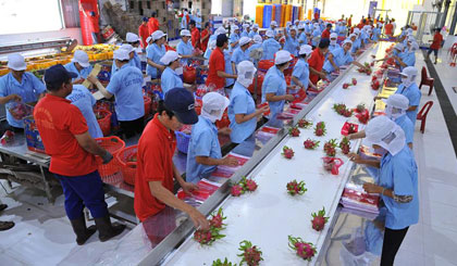 Cần có nhiều giải pháp để tận dụng cơ hội XK trái cây.