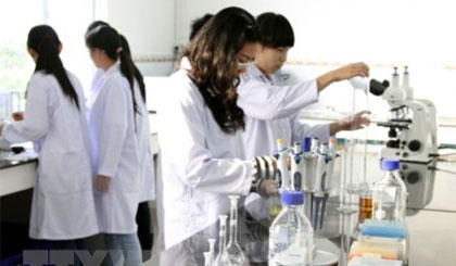 Việt Nam sẽ có đại học đi đầu khu vực về nghiên cứu và đổi mới sáng tạo? Ảnh minh họa: TTXVN