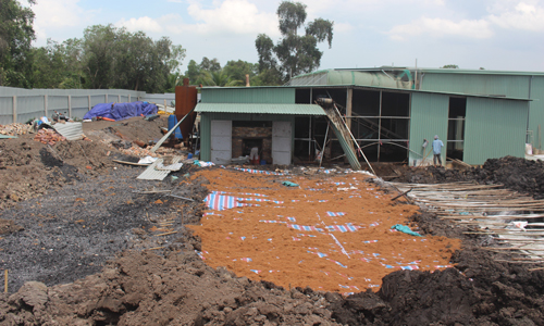 Người dân phản ánh trại gà bốc mùi hôi thối.