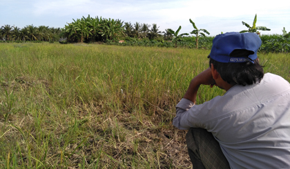 Ông 2 A ngồi chờ chim se sẻ dính bẫy.