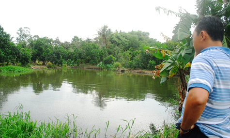 Nước sau biogas - nguồn phân bón quý giá
