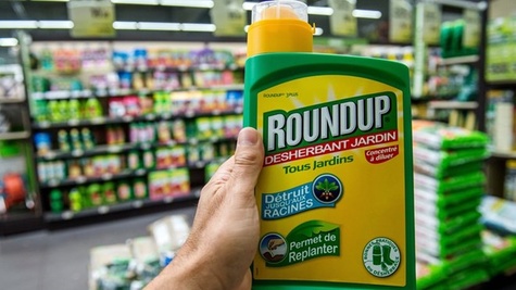 Cục Bảo vệ thực vật sẽ loại bỏ glyphosate ngay khi có đủ bằng chứng