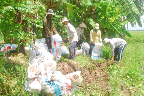 Người dân xúc đất vào bao để đắp những đoạn ô bao thiếu chắc chắn.