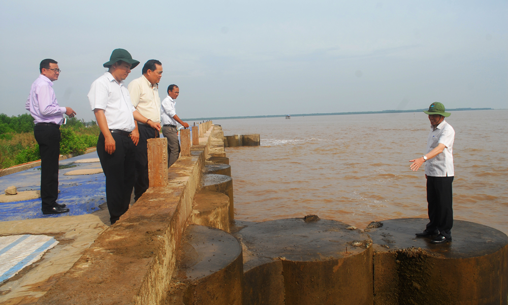 Đoàn công tác kiểm tra tuyến đê ven biển thuộc xã Phú Tân (huyện Tân Phú Đông).