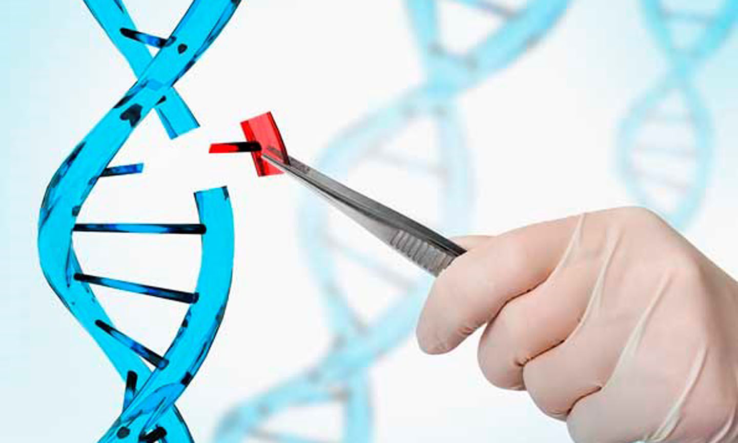 (Nguồn: Beyond GM)