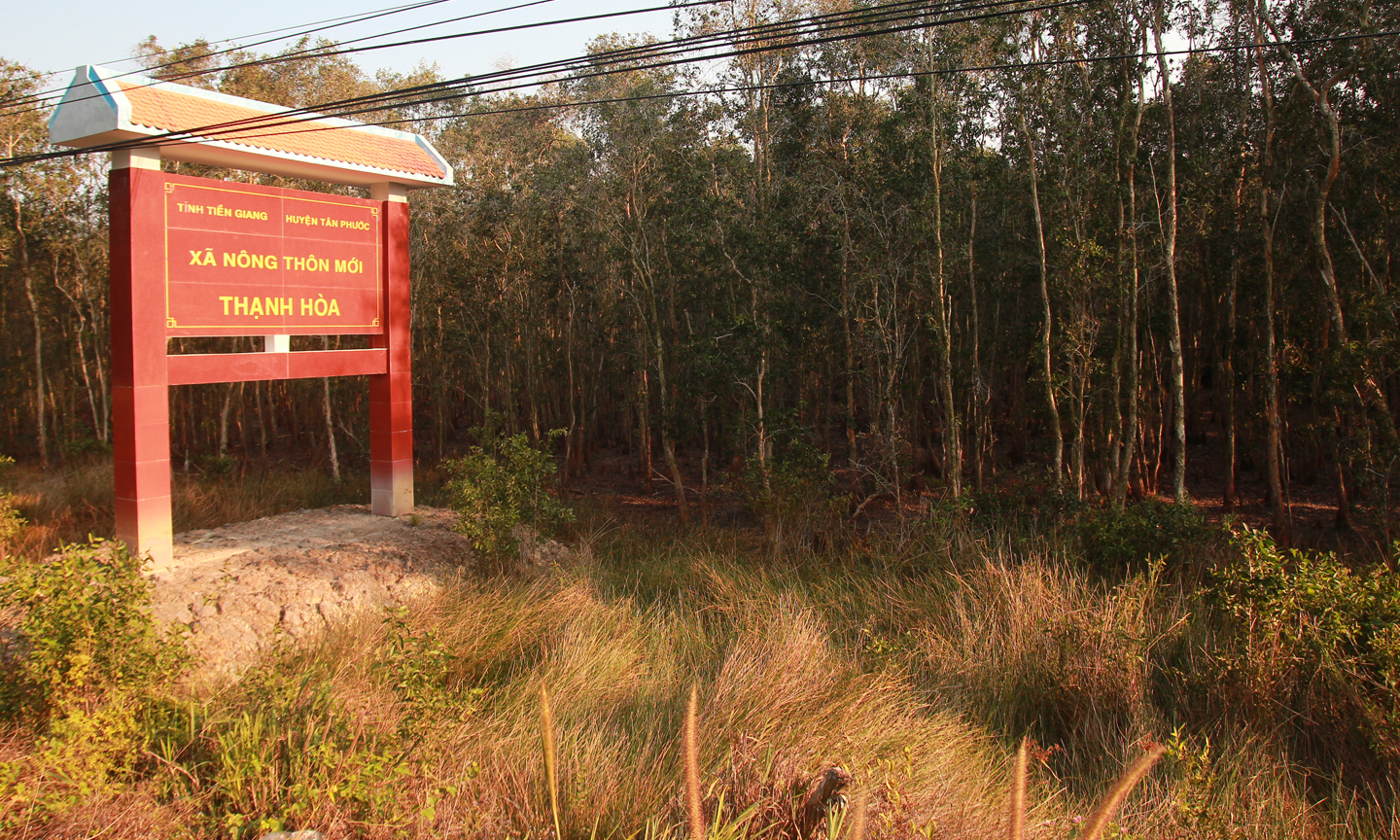 Một khu rừng thuộc xã Thạnh Hòa.