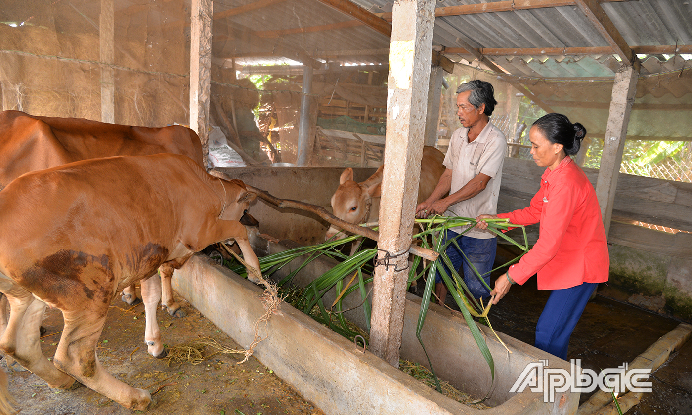 Nhờ cần cù lao động, vợ chồng chú Phú và cô Cúc đã vươn lên thoát nghèo.