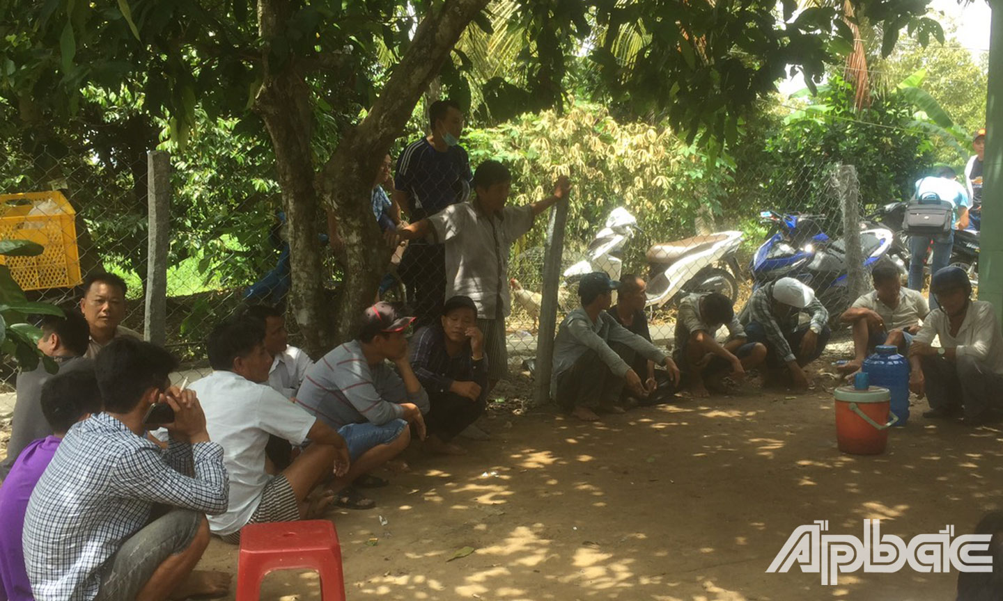 Các đối tượng tham gia đá gà bị bắt giữ.