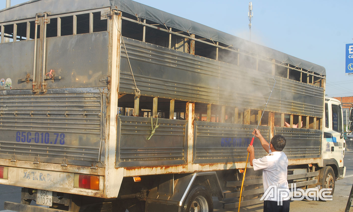 Lực lượng chức năng tiêu độc khử trùng xe vận chuyển heo vào địa bàn tỉnh.