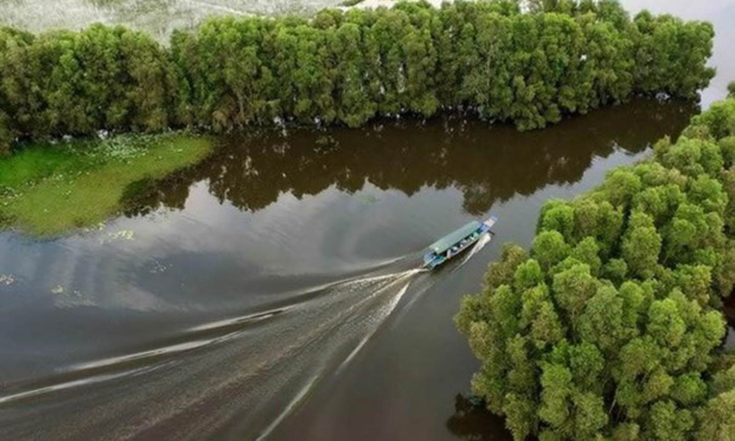 (Ảnh minh hoạ: An Hiếu/TTXVN)