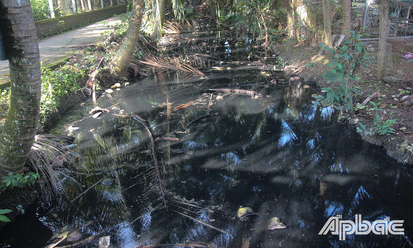 Nước kinh chuyển sang màu đen và bốc mùi hôi thối.
