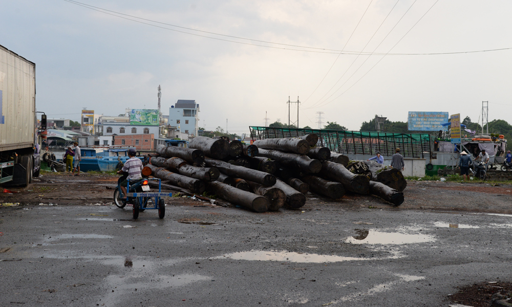 Vị trí bên phía xã Long Trung, nơi dự kiến cầu Ngũ Hiệp trên đường tỉnh 868 bắc qua.