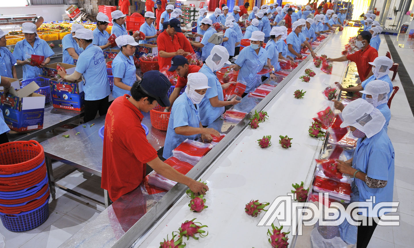 Thông qua chuỗi liên kết giá trị nông sản Việt đã được nâng cao, xuất khẩu đến gần 190 nước và vùng lãnh thổ  trên thế giới.                	Ảnh: CAO LẬP ĐỨC
