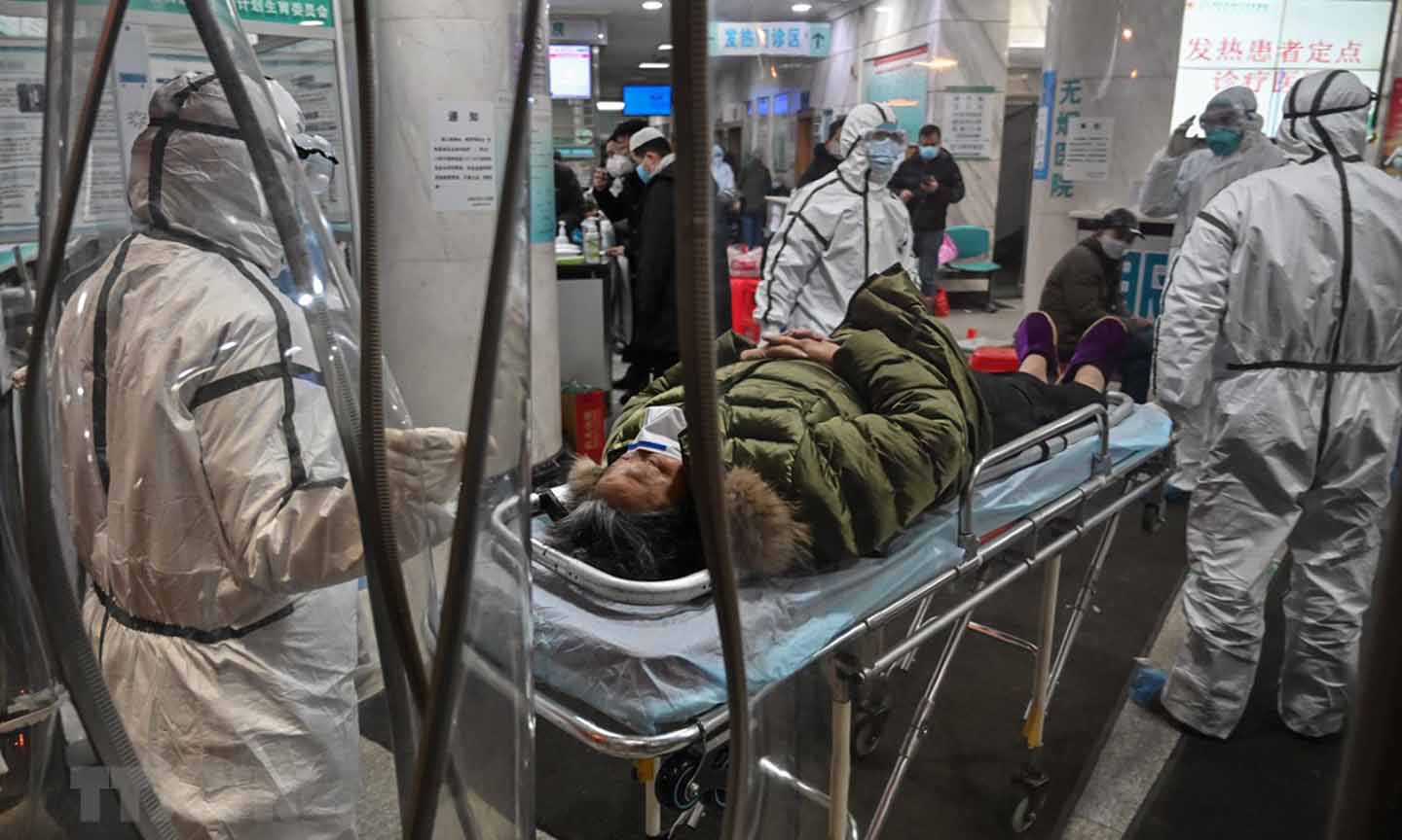 Nhân viên y tế tiếp nhận bênh nhân viêm đường hô hấp cấp do nhiễm virus corona tại bệnh viện ở Vũ Hán, Trung Quốc. (Ảnh: AFP/TTXVN)