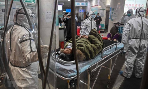 Dịch bệnh viêm đường hô hấp cấp có thể truyền nhiễm qua hệ tiêu hóa