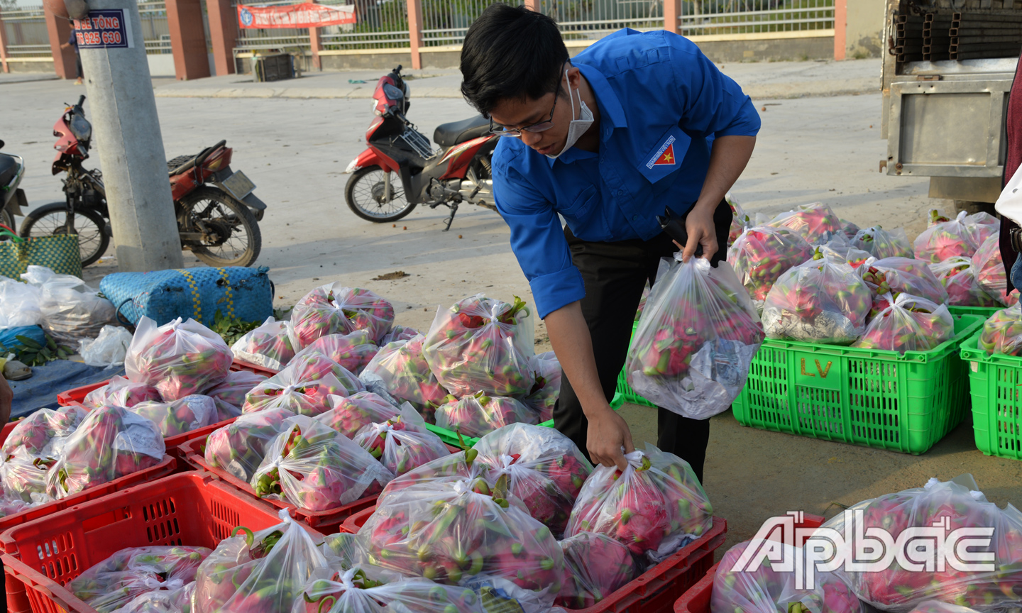 Hỗ trợ tiêu thụ thanh long.