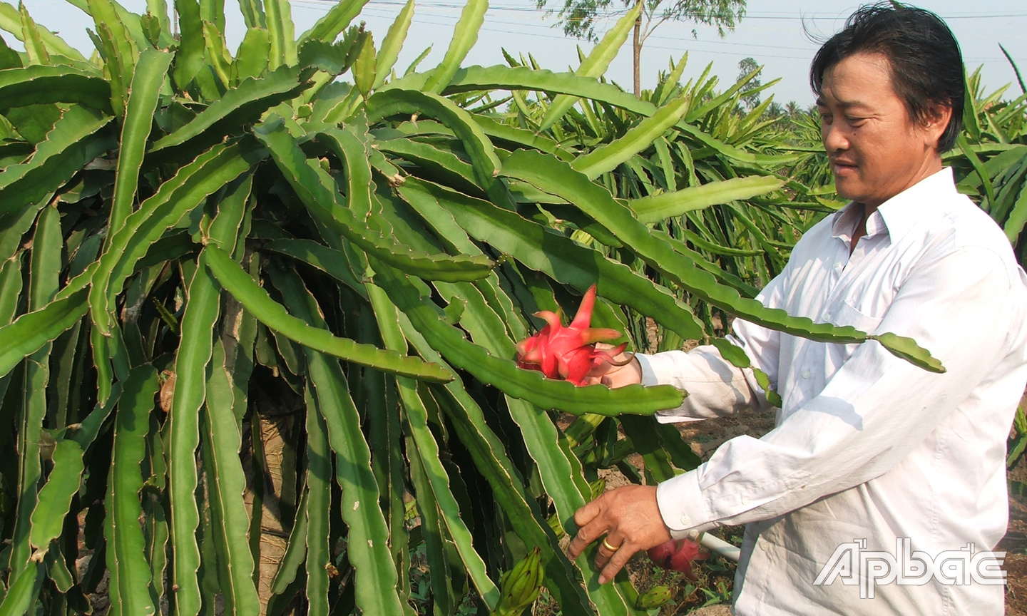 Mức độ hài lòng của người dân là thước đo quan trọng trong xây dựng NTM.