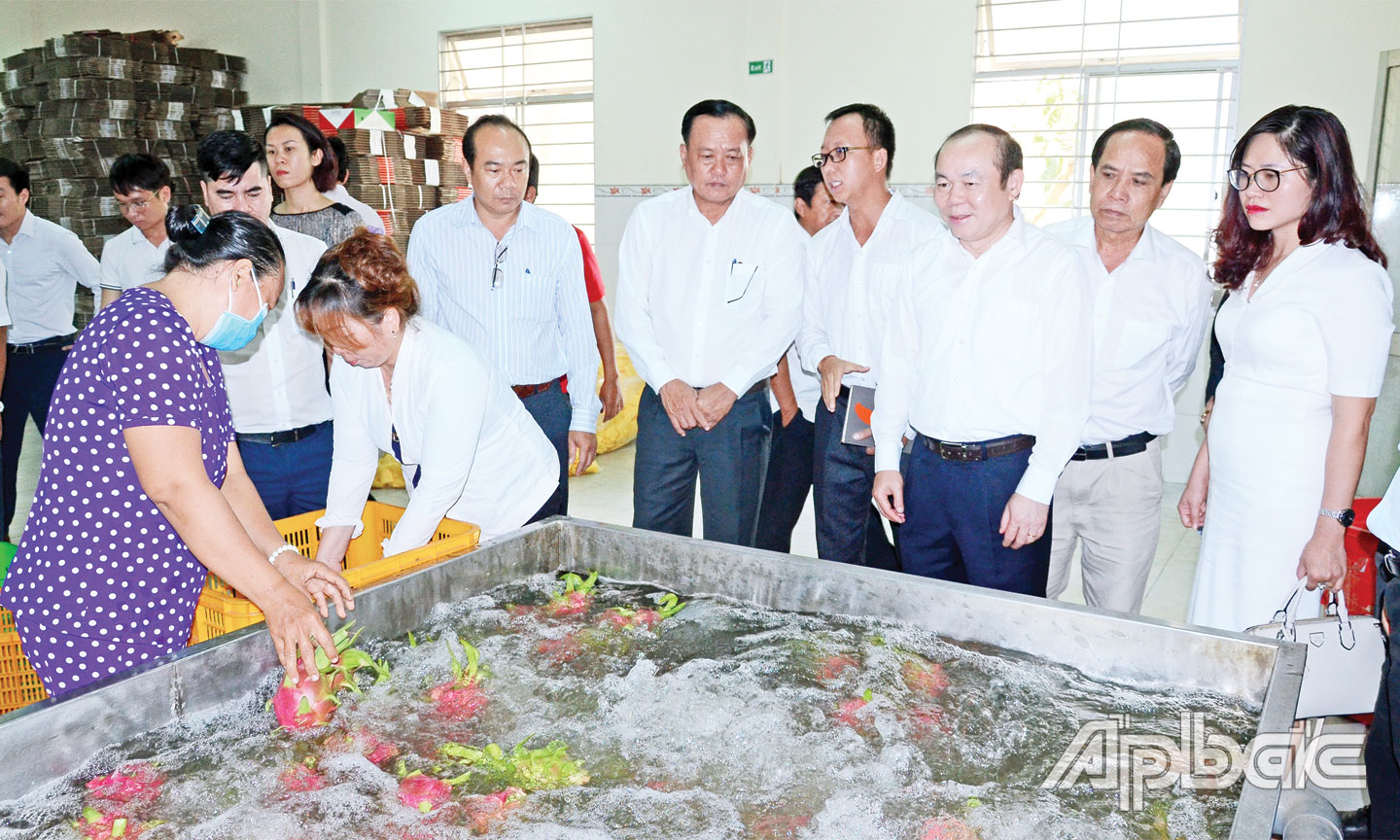 Lãnh đạo Liên minh HTX Việt Nam thăm và làm việc tại Tiền Giang. Ảnh: MINH THÀNH