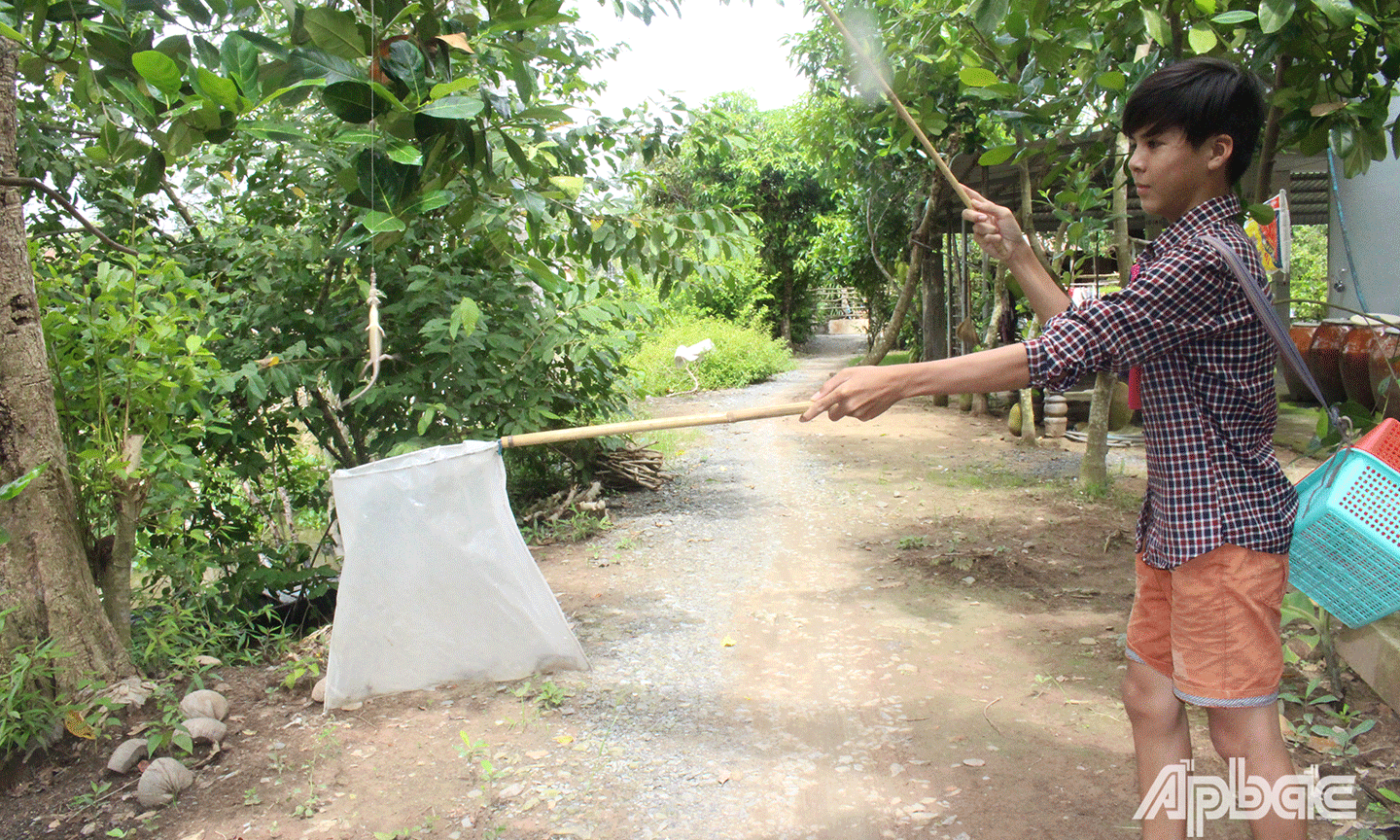 Nếu chăm chỉ thì mỗi ngày có thể kiếm vài trăm nghìn từ việc câu rắn mối. 