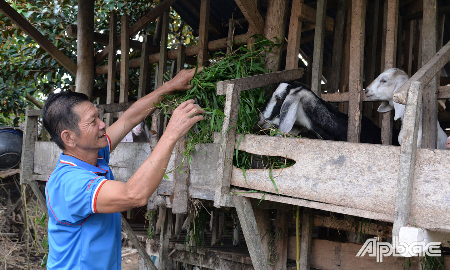 Ông Đoàn Văn Hiếu tình nguyện hiến hơn 1.500 m2 đất để làm đường giao thông nông thôn.