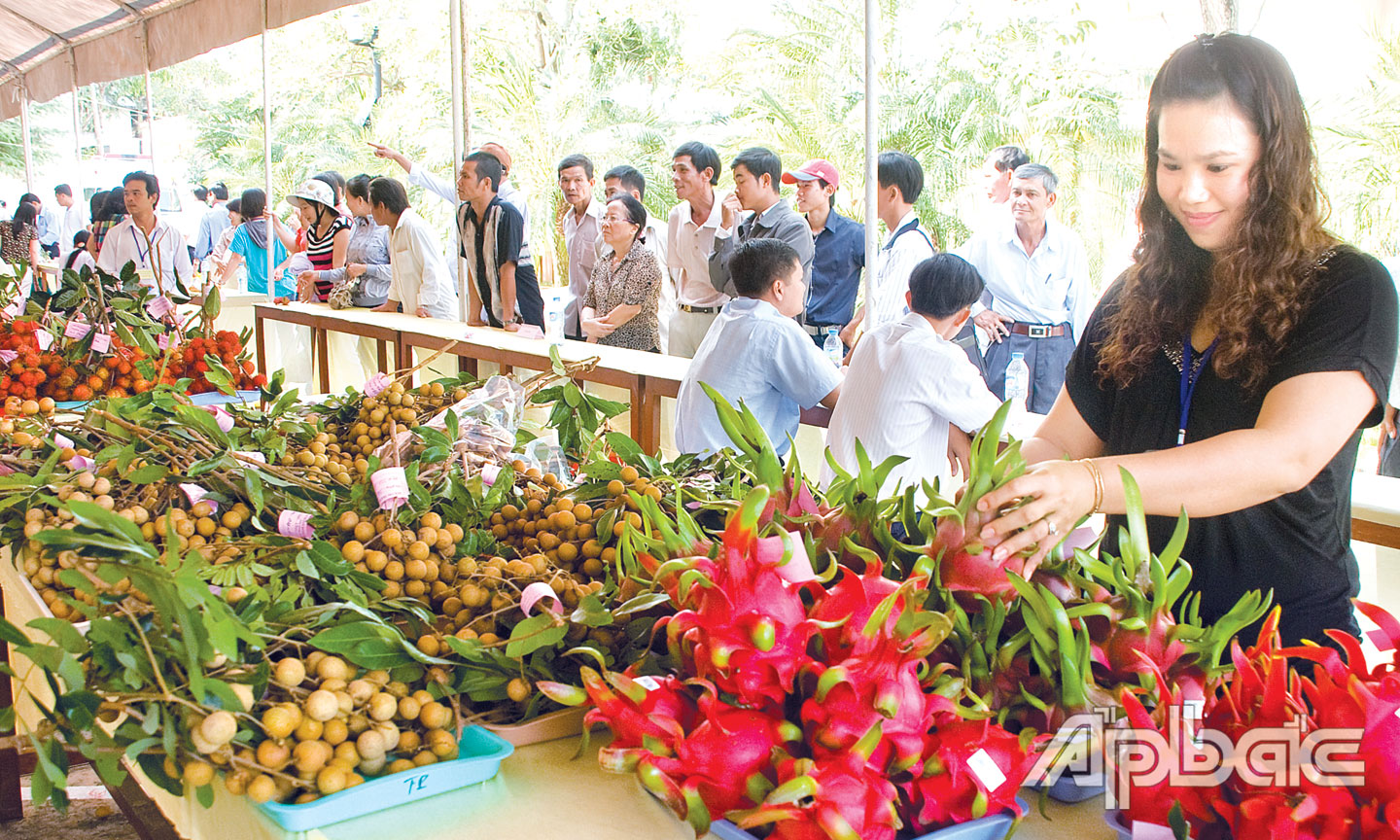 Kết nối cung cầu thành công với tỉnh Hà Giang, Lào Cai, nông sản Tiền Giang có nhiều triển vọng xuất khẩu. Ảnh: VÕ NGUYÊN PHÚ                                                                                                                                  