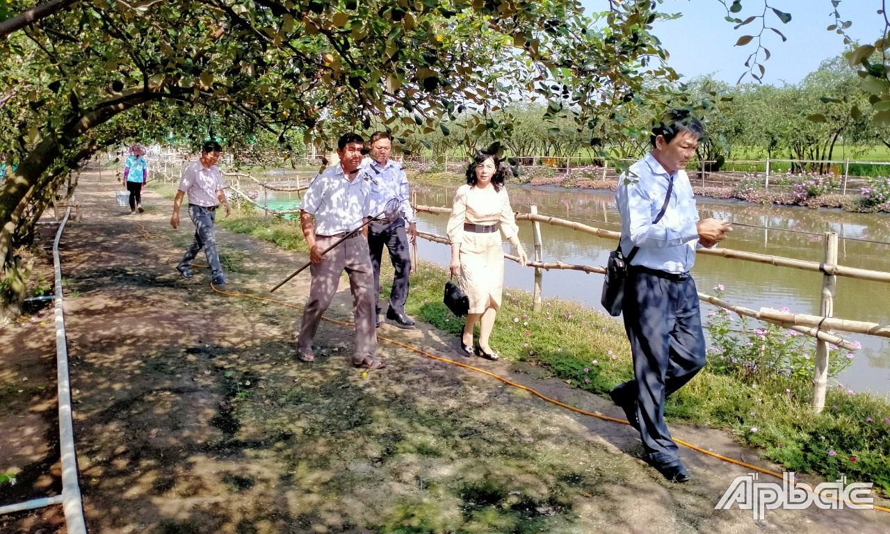 Đoàn khảo sát tại vườn táo 6 Hồi.