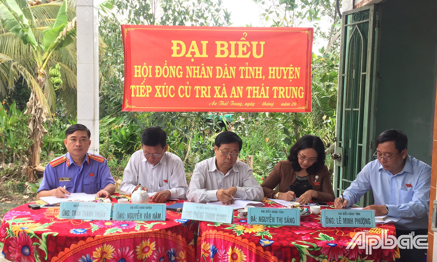 Đại biểu HĐND tỉnh, huyện nghe ý kiến cử tri phát biểu