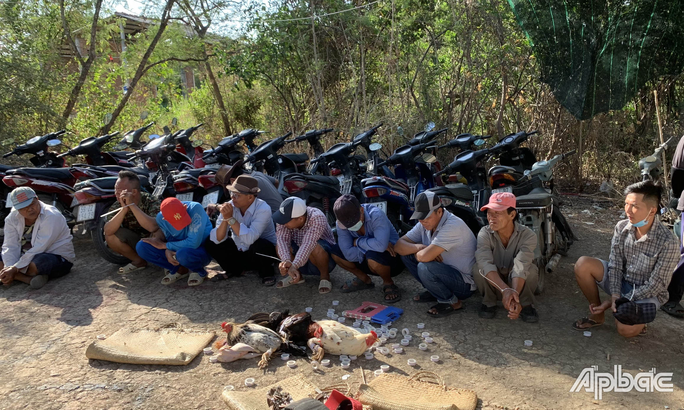 Các đối tượng bị tạm giữ.