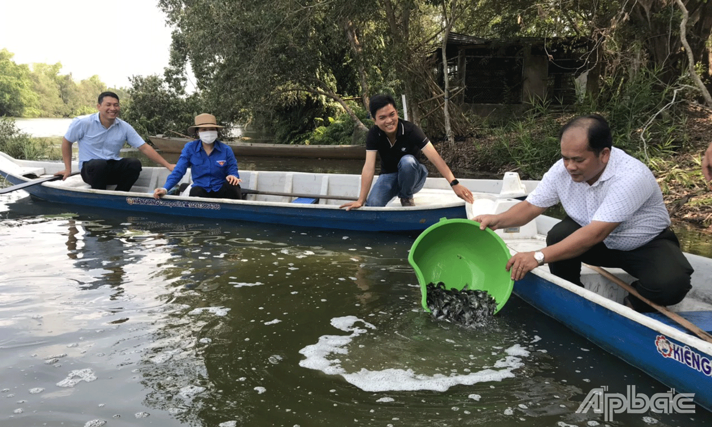 Tiến hành thả cá giống tại Khu bảo tồn sinh thái Đồng Tháp Mười, huyện Tân Phước, tỉnh Tiền Giang