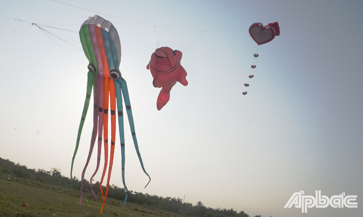 Những con diều của Câu lạc bộ Diều Tiền Giang được thả trên bầu trời tại Quảng trường