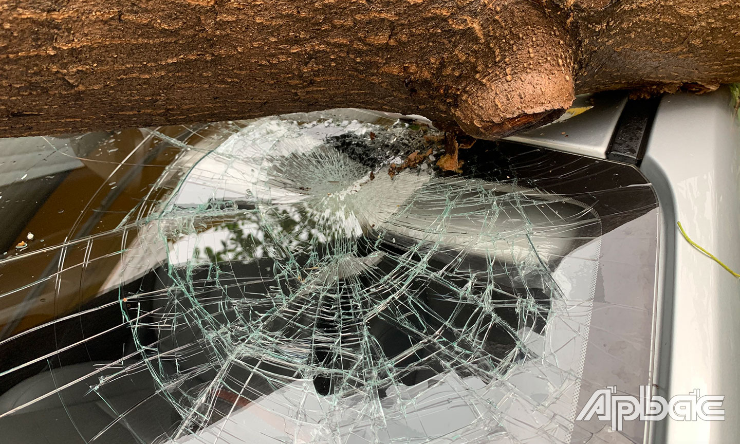 Một phần kính ô tô bị hư hỏng nặng.