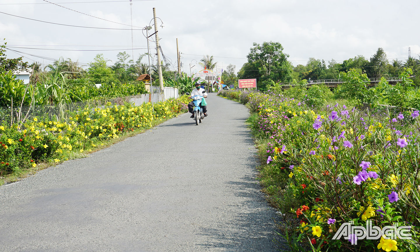 Những tuyến đường có trồng hoa làm cho diện mạo xã Thanh Hòa thêm tươi đẹp.