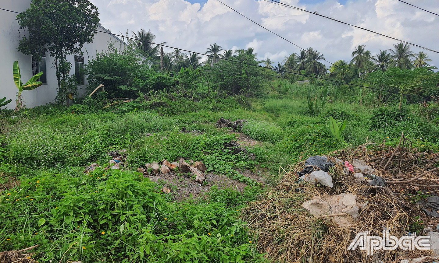 SVĐ xã Song Thuận gần như bỏ hoang, cỏ mọc um tùm do ít hoạt động. 