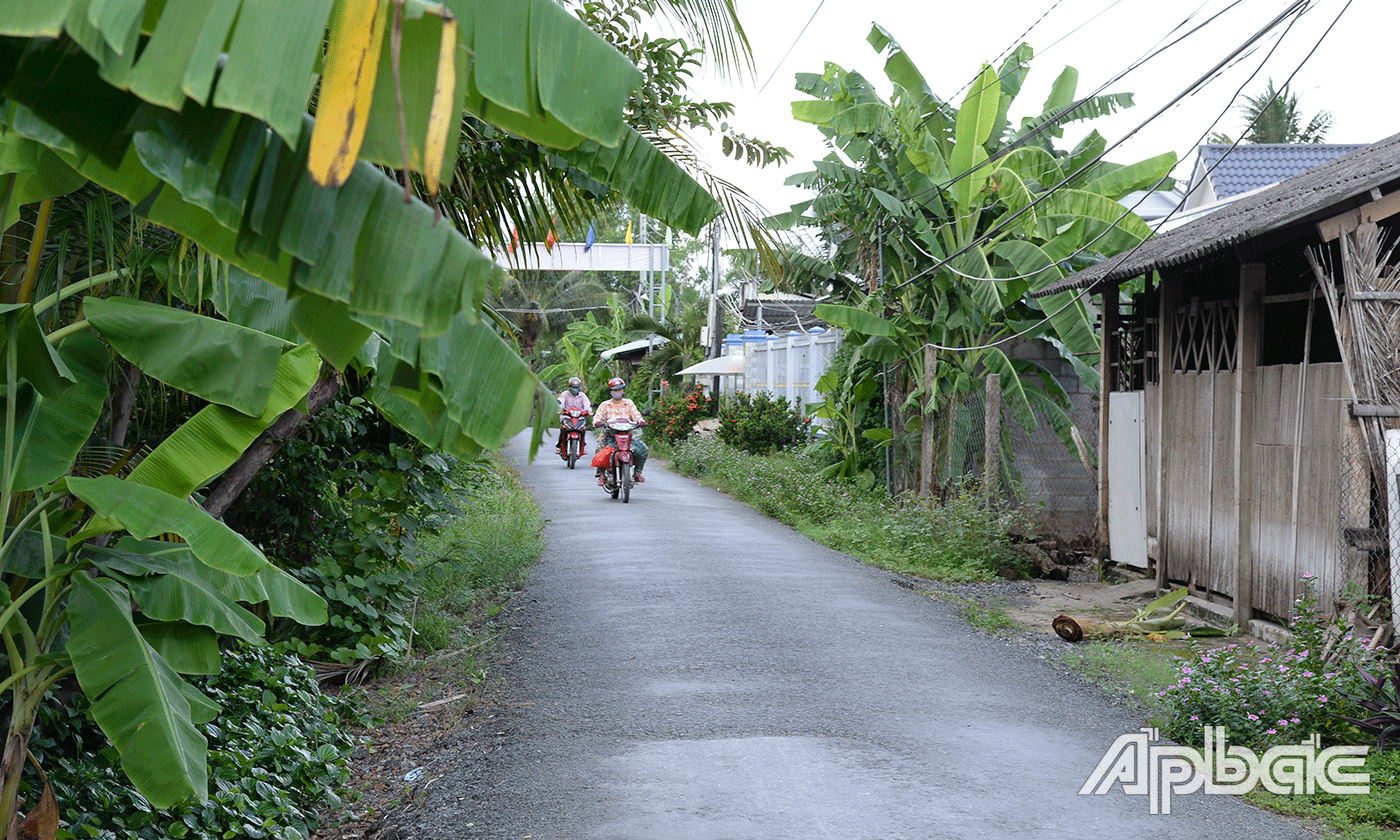 Những tàu lá chuối che khuất tầm nhìn người tham gia giao thông.