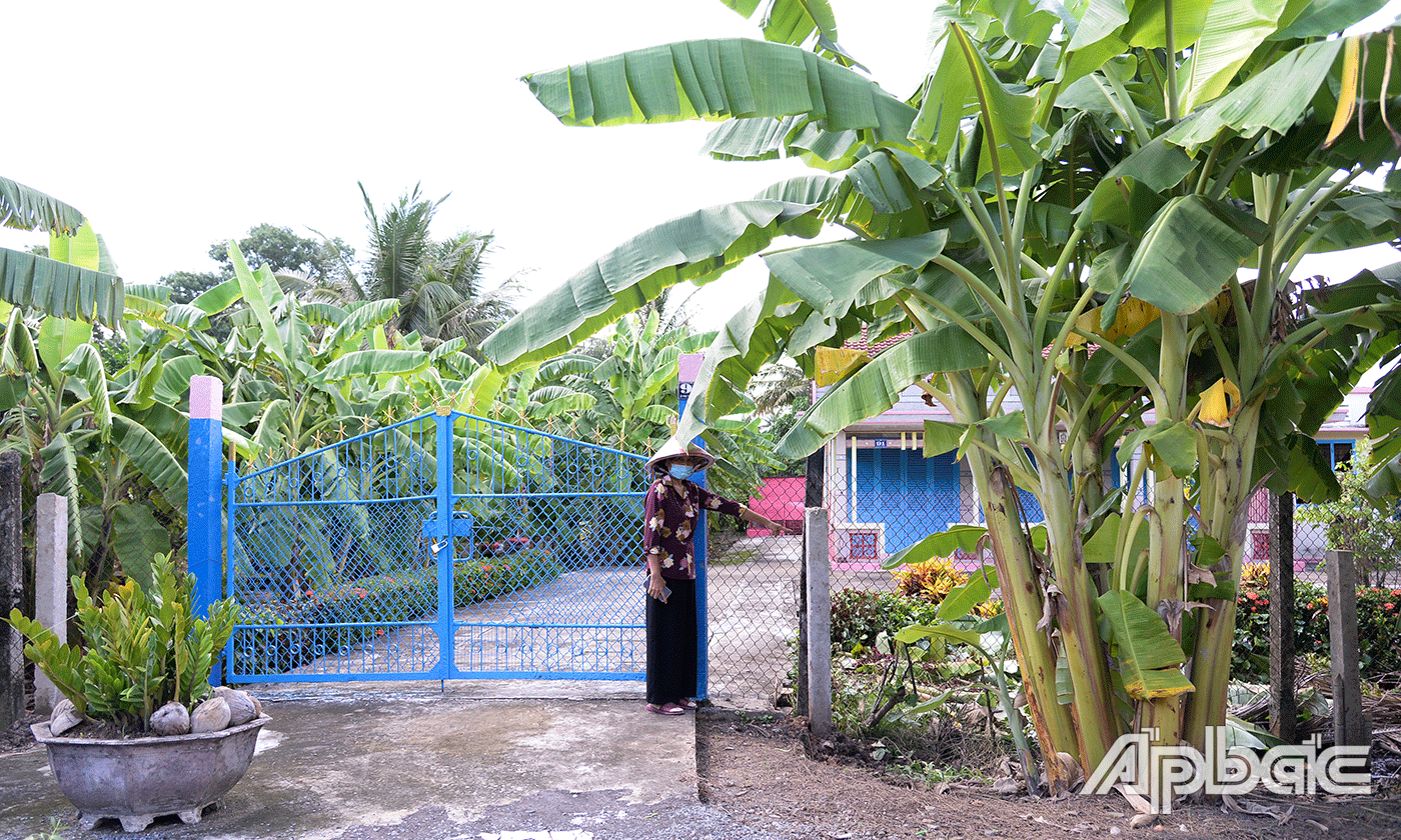Cây chuối và trụ bê tông được trồng trước mặt tiền nhà bà Tiếc.