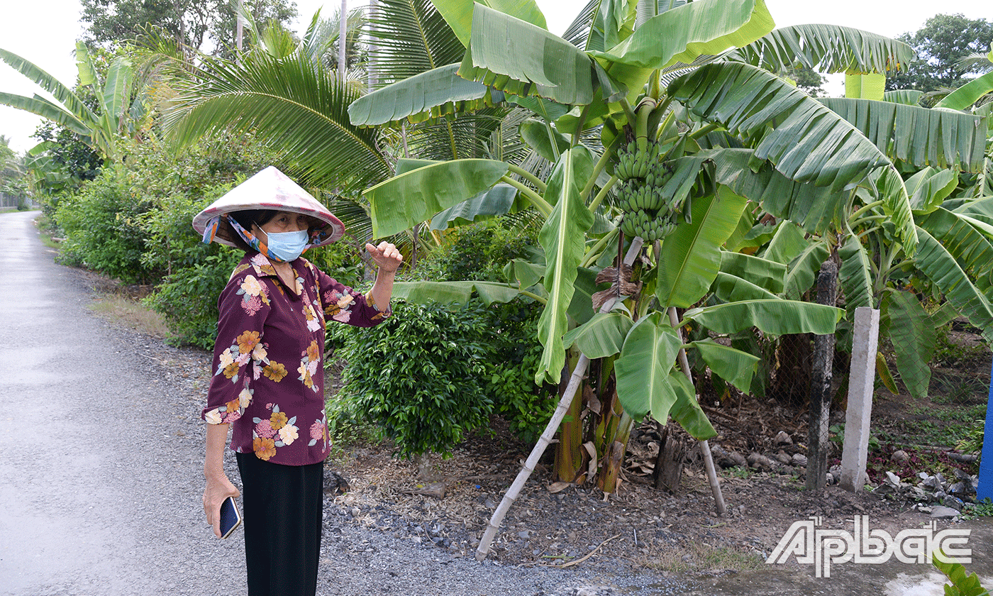 Phòng Kinh tế và Hạ tầng huyện Chợ Gạo xác nhận nội dung phản ánh của bà Tiếc là đúng sự thật.