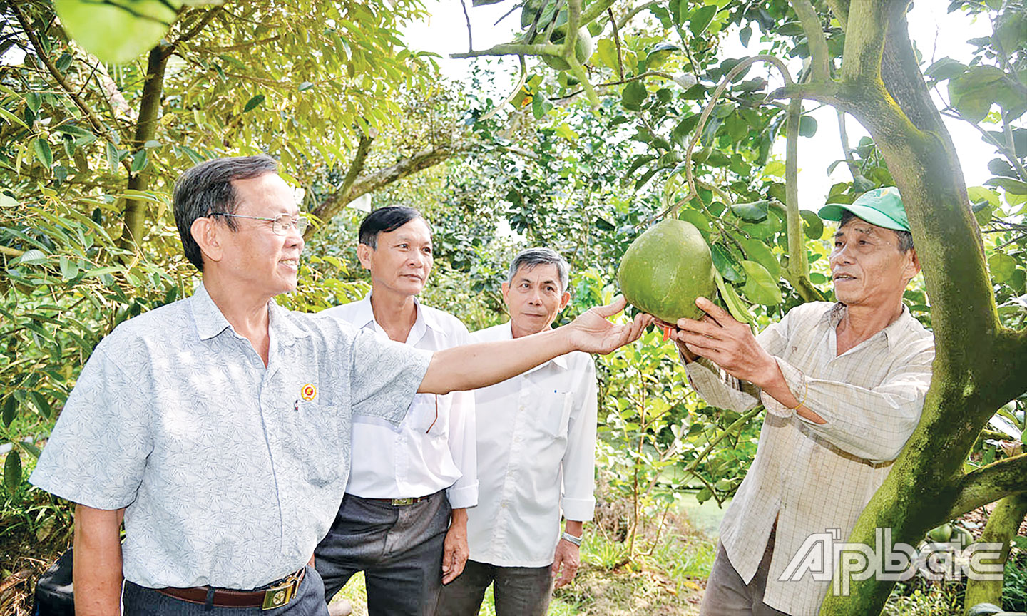 Từ chuyên đề thi đua “Nông dân SXKDG”, nhiều hội viên, nông dân đã tích cực chuyển đổi cây trồng, ứng dụng KHKT,  vươn lên làm giàu (ảnh chụp khi chưa bùng phát dịch Covid 19). 
