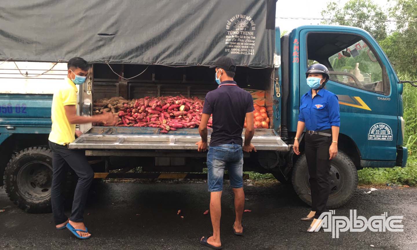 Đoàn viên, thanh niên tham gia hỗ trợ nông dân tiêu thụ nông sản.