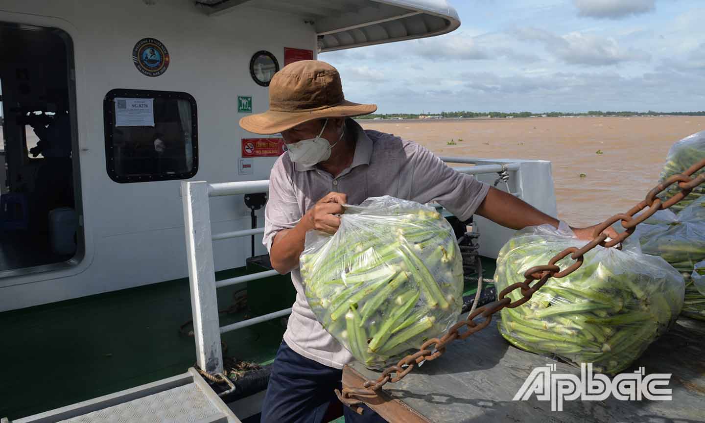Công nhân bốc xếp nông sản của Đảng bộ, chính quyền và nhân dân tỉnh Tiền Giang gửi tặng người dân TP. Hồ Chí Minh và Hội đồng hương Tiền Giang tại TP. Hồ Chí Minh.
