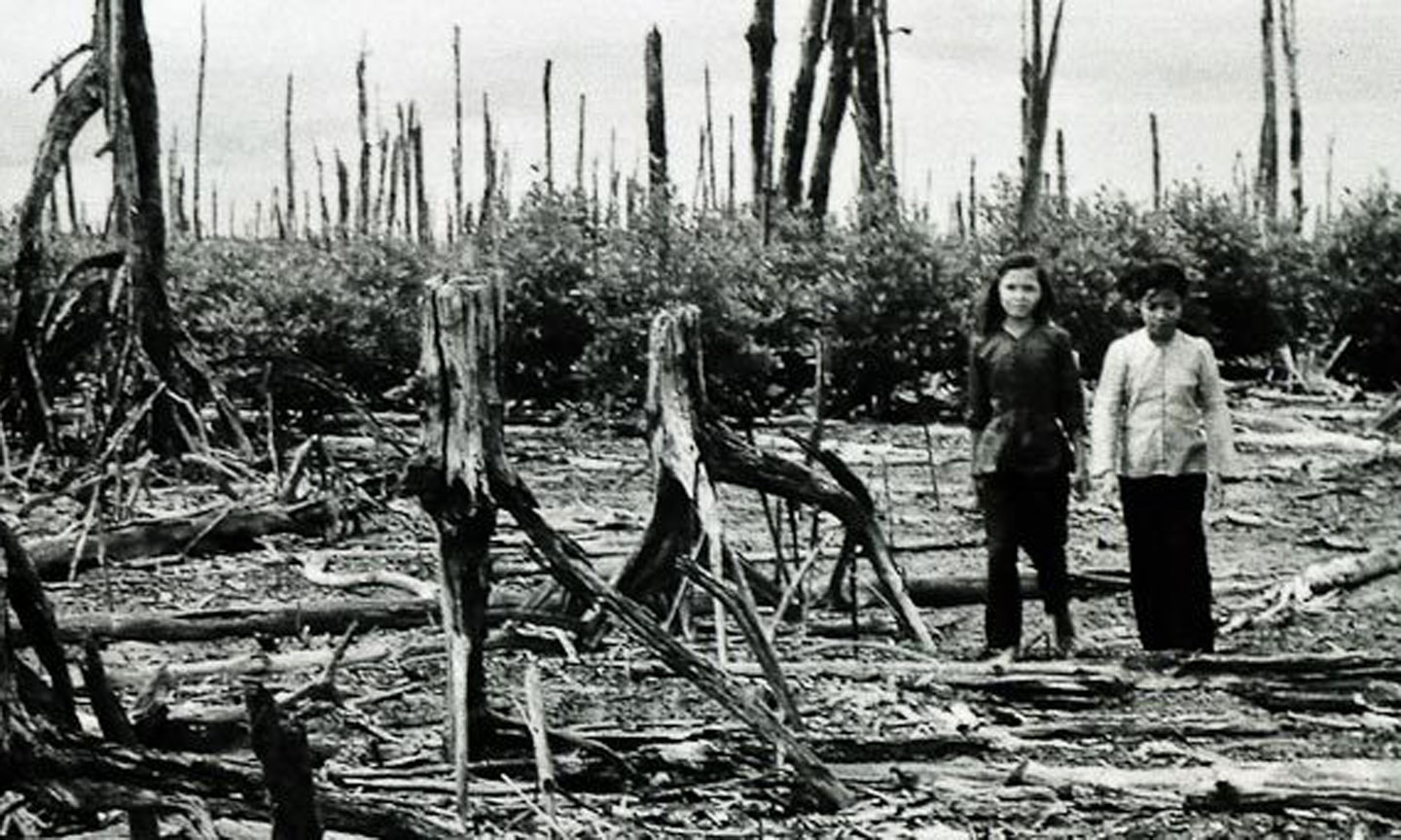 Hai bé gái đang đi qua khu rừng đước bị chất độc da cam hủy hoại.