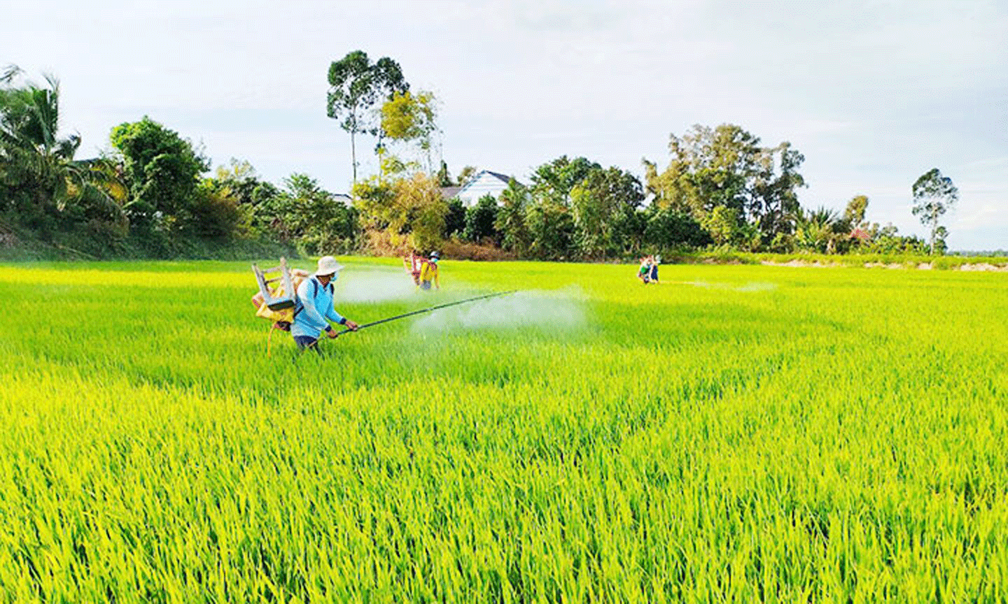 Mô hình bón phân, phun thuốc và thu hoạch nông sản giúp nông dân trong dịch Covid-19 của huyện Cao Lãnh (Đồng Tháp). Ảnh: HỮU NGHĨA