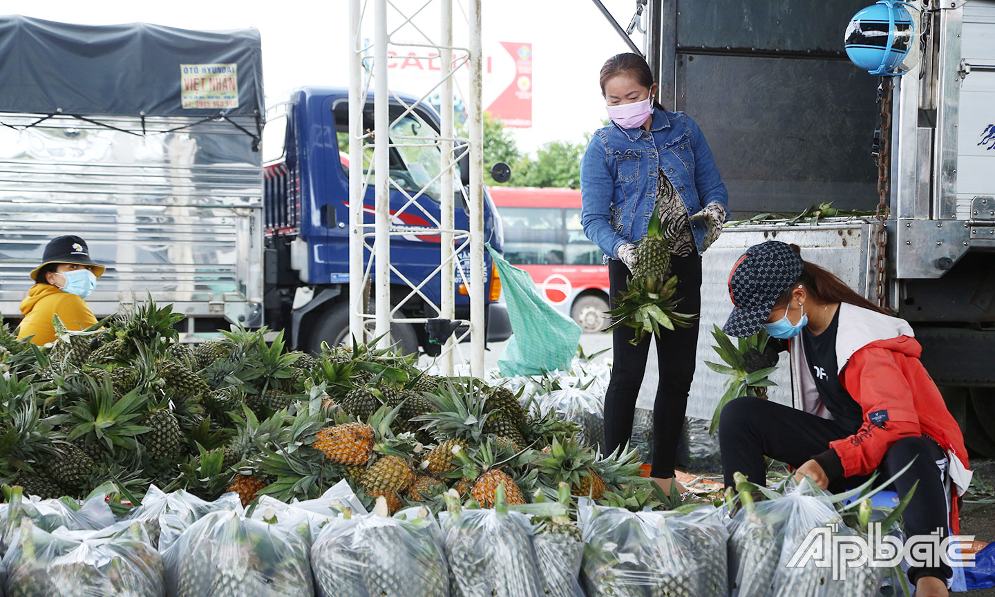 Số lượng thương lái tập kết nông sản và hàng hóa tại điểm tập kết trung chuyển Lộc Mai chưa nhiều.