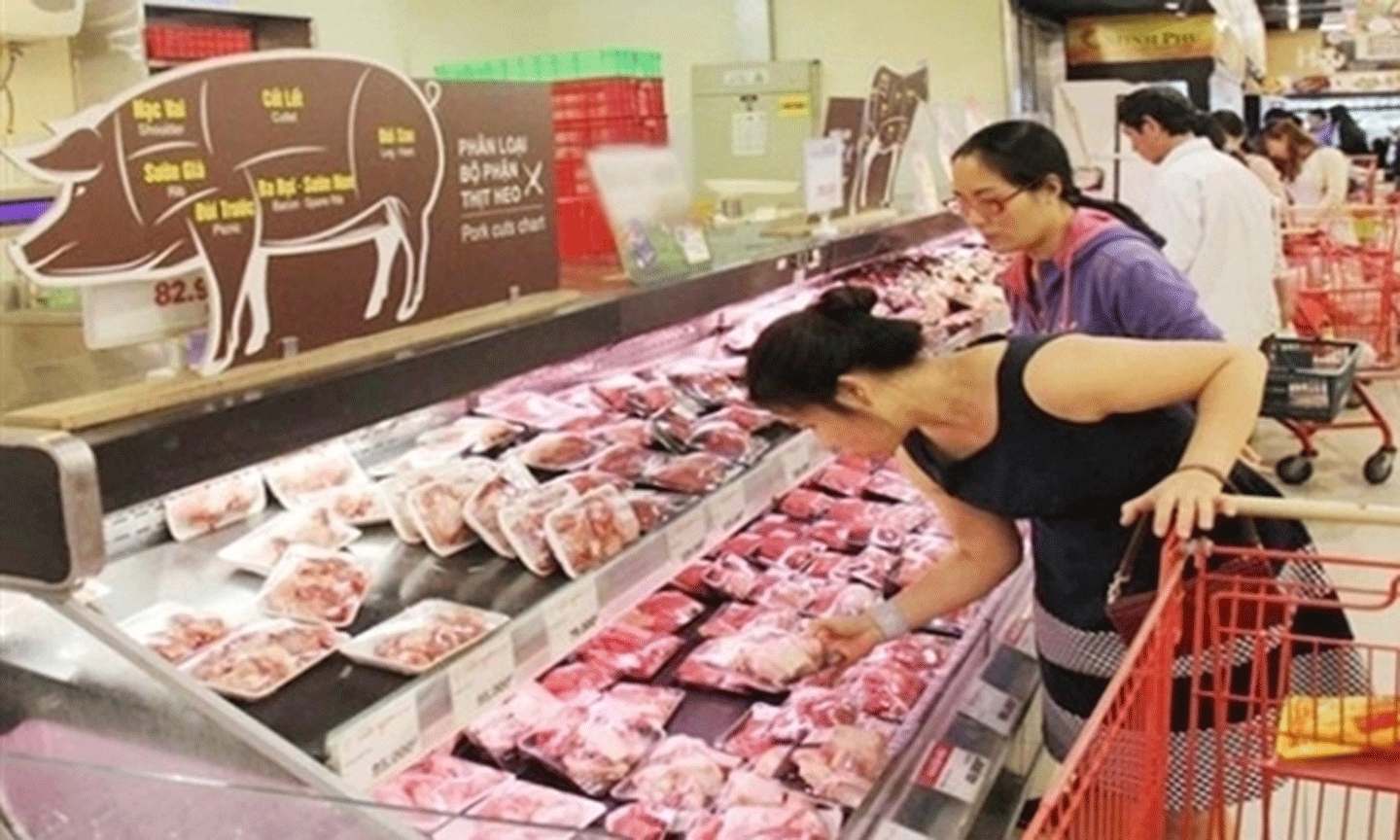 Bộ Nông nghiệp và Phát triển nông thôn đã tính các phương án bảo đảm nguồn cung thịt lợn từ nay đến cuối năm.