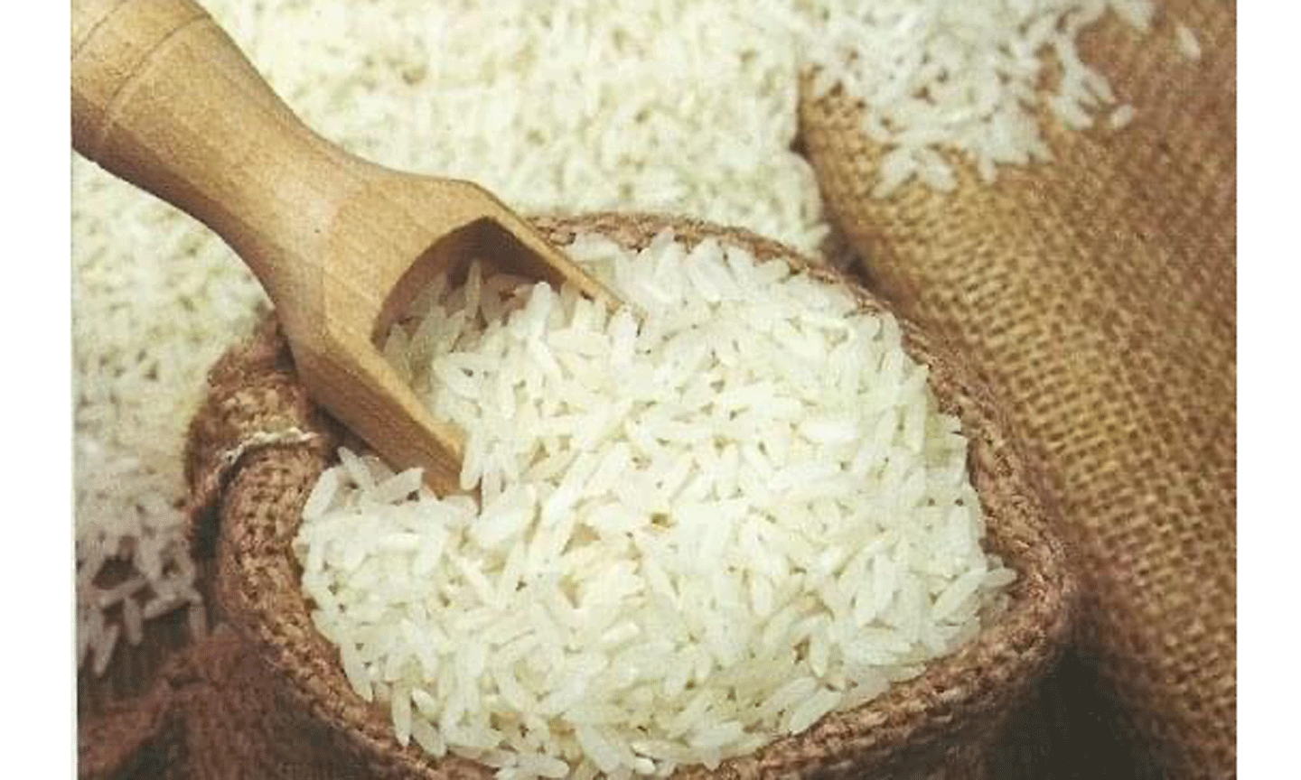 Giá xuất khẩu gạo tăng hơn 7% so với cùng kỳ năm trước. Ảnh minh hoạ