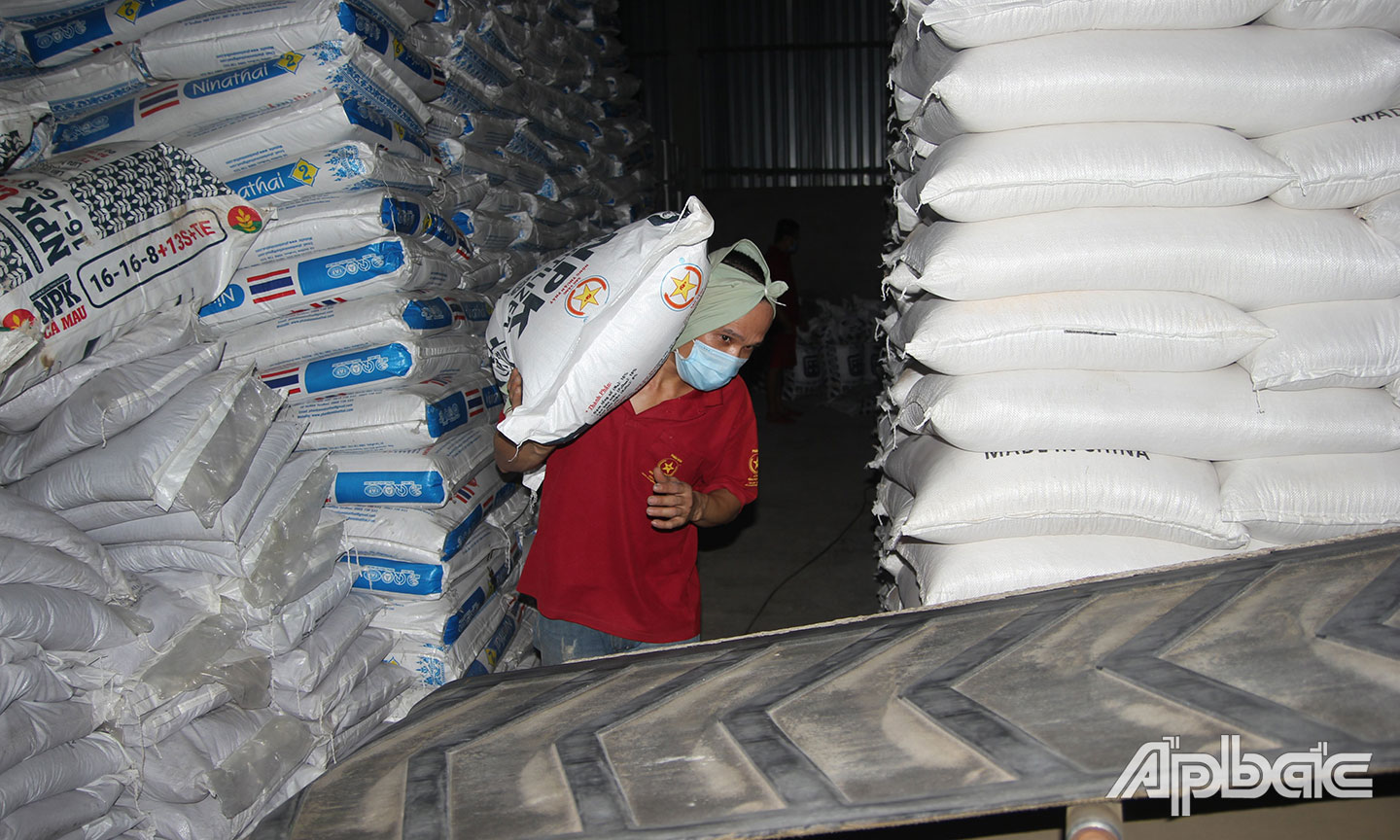 Giá phân bón dự báo sẽ tiếp tục tăng.